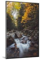 Mystical Flow, Early Fall River, White Mountains, New Hampshire-Vincent James-Mounted Photographic Print