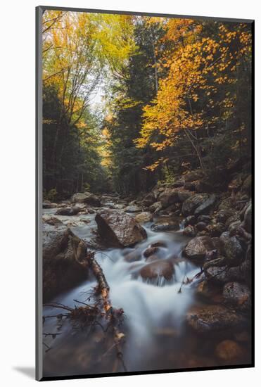 Mystical Flow, Early Fall River, White Mountains, New Hampshire-Vincent James-Mounted Photographic Print