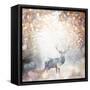 Mystical Forest 1-Beau Jakobs-Framed Stretched Canvas