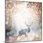 Mystical Forest 1-Beau Jakobs-Mounted Art Print