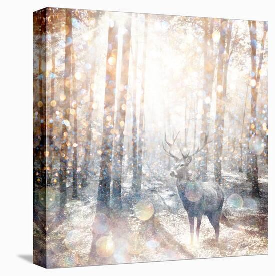 Mystical Forest 2-Beau Jakobs-Stretched Canvas