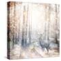 Mystical Forest 2-Beau Jakobs-Stretched Canvas