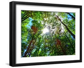 Mystical Forest Sky-Markus Bleichner-Framed Art Print