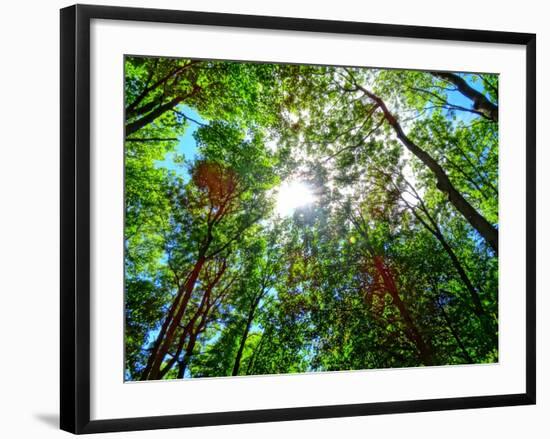 Mystical Forest Sky-Markus Bleichner-Framed Art Print