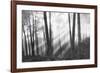 Mystical Forest & Sunbeams-Monte Nagler-Framed Art Print