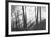 Mystical Forest & Sunbeams-Monte Nagler-Framed Art Print