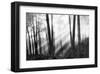 Mystical Forest & Sunbeams-Monte Nagler-Framed Giclee Print