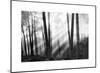Mystical Forest & Sunbeams-Monte Nagler-Mounted Giclee Print