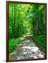 Mystical Forest Walk into the Green-Markus Bleichner-Framed Art Print