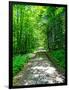 Mystical Forest Walk into the Green-Markus Bleichner-Framed Art Print