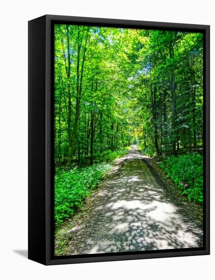Mystical Forest Walk into the Green-Markus Bleichner-Framed Stretched Canvas