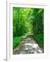 Mystical Forest Walk into the Green-Markus Bleichner-Framed Art Print