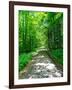 Mystical Forest Walk into the Green-Markus Bleichner-Framed Art Print