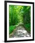 Mystical Forest Walk into the Green-Markus Bleichner-Framed Art Print