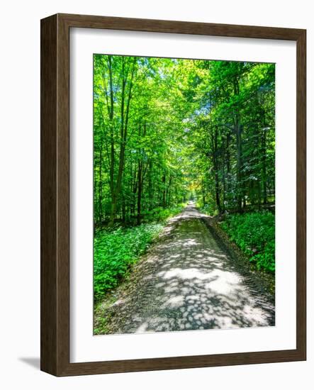 Mystical Forest Walk into the Green-Markus Bleichner-Framed Art Print