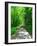 Mystical Forest Walk into the Green-Markus Bleichner-Framed Art Print