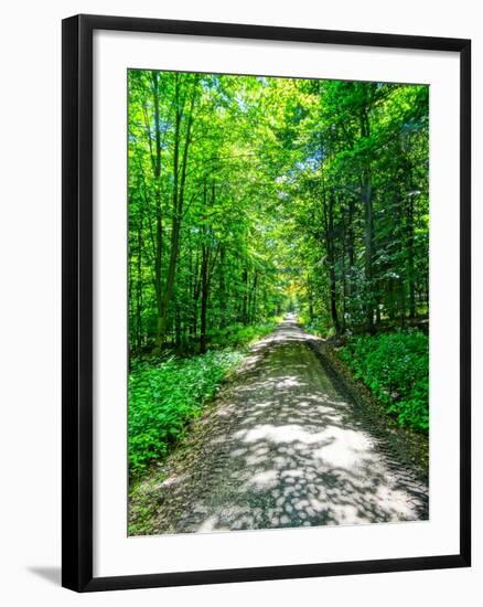 Mystical Forest Walk into the Green-Markus Bleichner-Framed Art Print