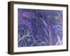 Mystical II Blue-Herb Dickinson-Framed Premium Photographic Print