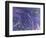 Mystical II Blue-Herb Dickinson-Framed Photographic Print