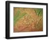 Mystical III-Herb Dickinson-Framed Photographic Print