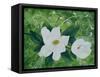 Mystical Magnolias I-Herb Dickinson-Framed Stretched Canvas