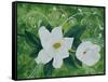 Mystical Magnolias I-Herb Dickinson-Framed Stretched Canvas