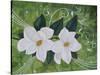 Mystical Magnolias II-Herb Dickinson-Stretched Canvas