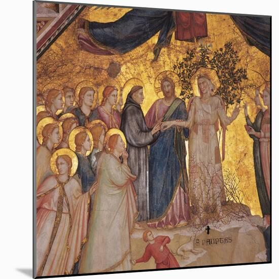 Mystical Marriage of St. Francis to Poverty-Giotto di Bondone-Mounted Art Print