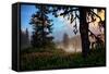 Mystical Meadow at Mount Hood, National Forest Oregon-Vincent James-Framed Stretched Canvas