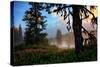 Mystical Meadow at Mount Hood, National Forest Oregon-Vincent James-Stretched Canvas