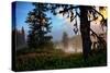 Mystical Meadow at Mount Hood, National Forest Oregon-Vincent James-Stretched Canvas