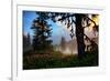 Mystical Meadow at Mount Hood, National Forest Oregon-Vincent James-Framed Photographic Print