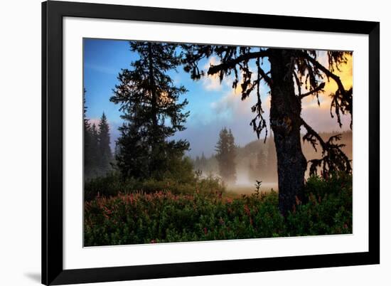 Mystical Meadow at Mount Hood, National Forest Oregon-Vincent James-Framed Photographic Print