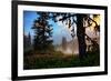 Mystical Meadow at Mount Hood, National Forest Oregon-Vincent James-Framed Photographic Print