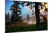 Mystical Meadow at Mount Hood, National Forest Oregon-Vincent James-Mounted Photographic Print