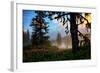 Mystical Meadow at Mount Hood, National Forest Oregon-Vincent James-Framed Photographic Print