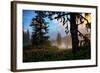 Mystical Meadow at Mount Hood, National Forest Oregon-Vincent James-Framed Photographic Print