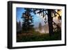 Mystical Meadow at Mount Hood, National Forest Oregon-Vincent James-Framed Photographic Print