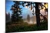 Mystical Meadow at Mount Hood, National Forest Oregon-Vincent James-Mounted Photographic Print