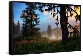 Mystical Meadow at Mount Hood, National Forest Oregon-Vincent James-Framed Stretched Canvas