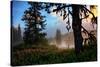 Mystical Meadow at Mount Hood, National Forest Oregon-Vincent James-Stretched Canvas