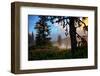 Mystical Meadow at Mount Hood, National Forest Oregon-Vincent James-Framed Photographic Print