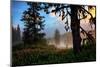 Mystical Meadow at Mount Hood, National Forest Oregon-Vincent James-Mounted Photographic Print
