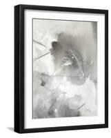 Mystical Objects II-Joyce Combs-Framed Art Print