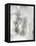 Mystical Objects III-Joyce Combs-Framed Stretched Canvas