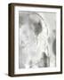 Mystical Objects IV-Joyce Combs-Framed Art Print