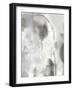Mystical Objects IV-Joyce Combs-Framed Art Print