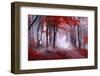Mystical Red Forest-null-Framed Photographic Print