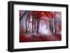 Mystical Red Forest-null-Framed Photographic Print