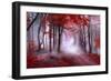 Mystical Red Forest-null-Framed Photographic Print